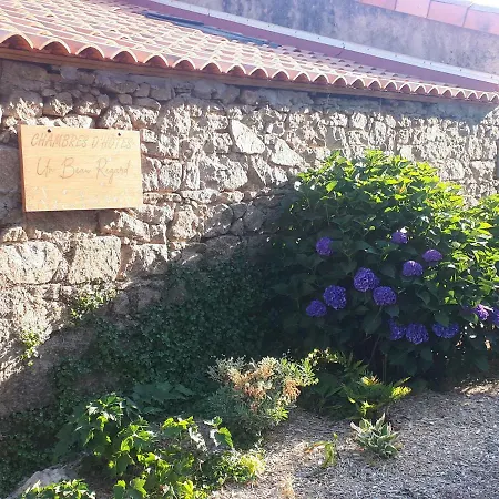 D'hôtes Un Beau Regard, Proche Puy Du Foù * Mauleon